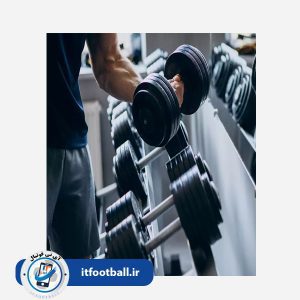 Video - Gym Fitness Training